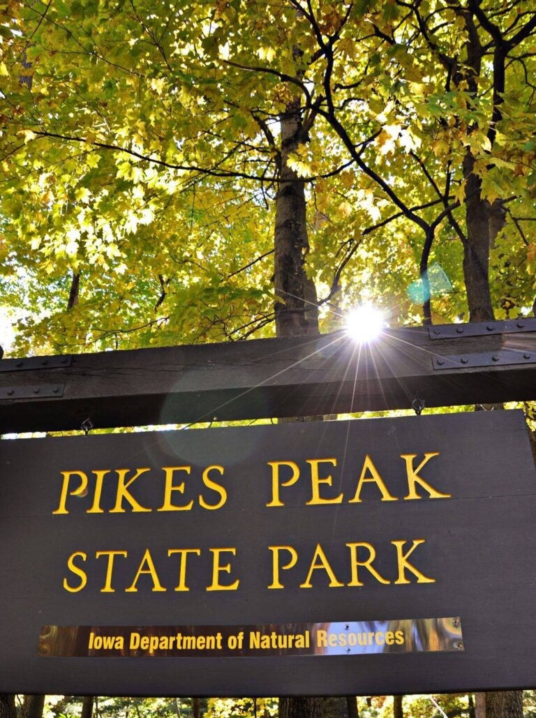 Pike's Perk